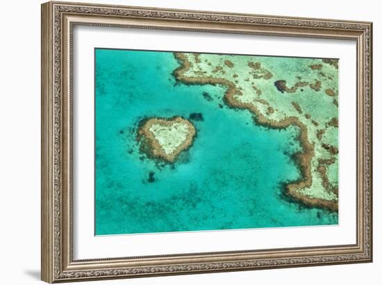 Great Barrier Reef II-Larry Malvin-Framed Photographic Print