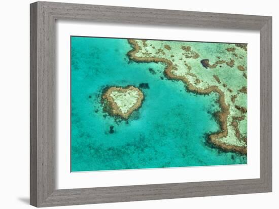 Great Barrier Reef II-Larry Malvin-Framed Photographic Print