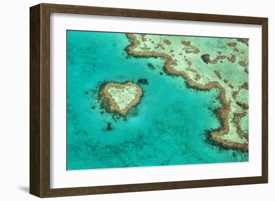 Great Barrier Reef II-Larry Malvin-Framed Photographic Print