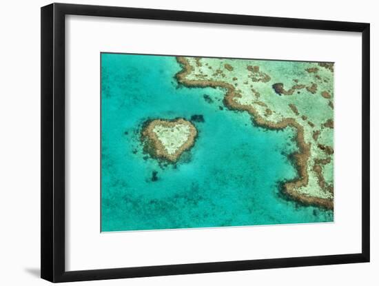 Great Barrier Reef II-Larry Malvin-Framed Photographic Print