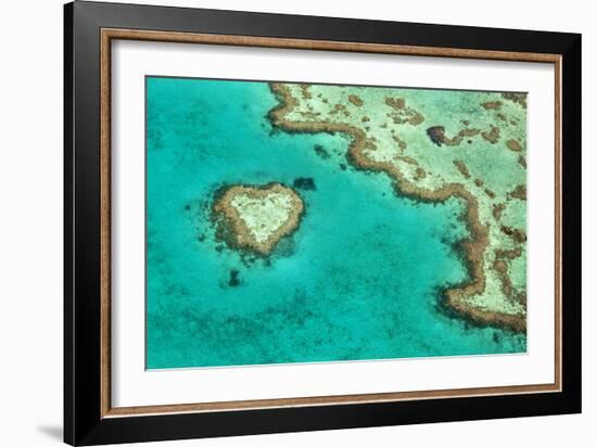 Great Barrier Reef II-Larry Malvin-Framed Photographic Print