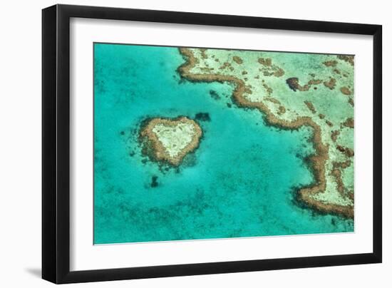 Great Barrier Reef II-Larry Malvin-Framed Photographic Print