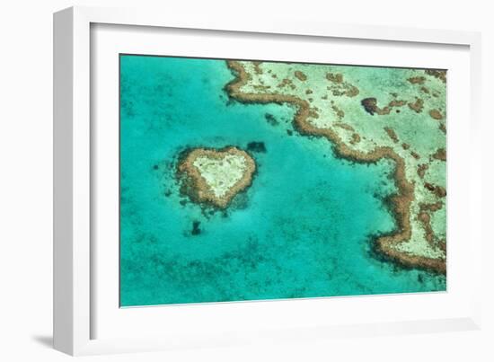 Great Barrier Reef II-Larry Malvin-Framed Photographic Print