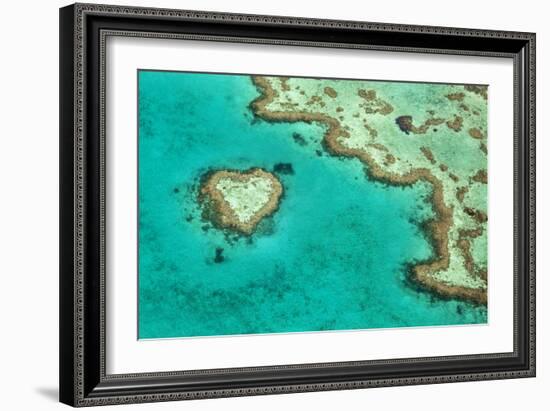 Great Barrier Reef II-Larry Malvin-Framed Photographic Print