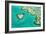 Great Barrier Reef II-Larry Malvin-Framed Photographic Print