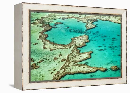 Great Barrier Reef III-Larry Malvin-Framed Premier Image Canvas