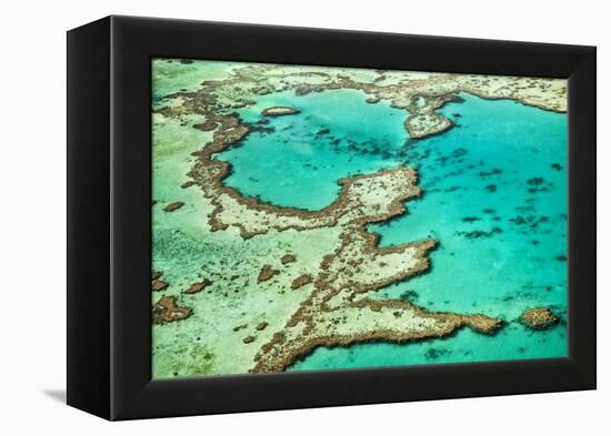 Great Barrier Reef III-Larry Malvin-Framed Premier Image Canvas