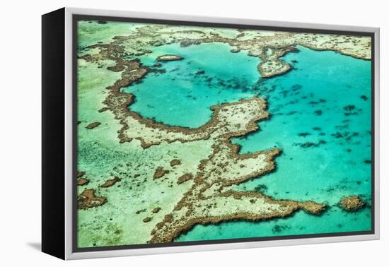 Great Barrier Reef III-Larry Malvin-Framed Premier Image Canvas