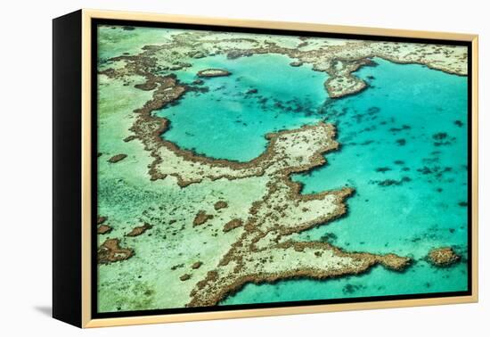 Great Barrier Reef III-Larry Malvin-Framed Premier Image Canvas