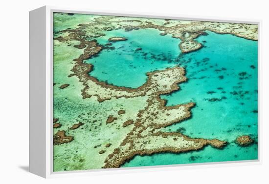 Great Barrier Reef III-Larry Malvin-Framed Premier Image Canvas