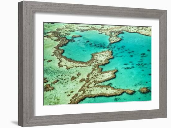 Great Barrier Reef III-Larry Malvin-Framed Photographic Print