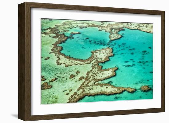 Great Barrier Reef III-Larry Malvin-Framed Photographic Print