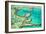 Great Barrier Reef III-Larry Malvin-Framed Photographic Print