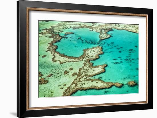 Great Barrier Reef III-Larry Malvin-Framed Photographic Print