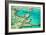 Great Barrier Reef III-Larry Malvin-Framed Photographic Print