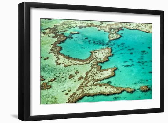 Great Barrier Reef III-Larry Malvin-Framed Photographic Print