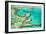 Great Barrier Reef III-Larry Malvin-Framed Photographic Print