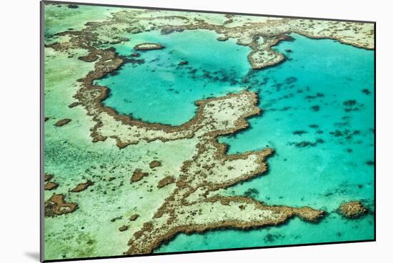 Great Barrier Reef III-Larry Malvin-Mounted Photographic Print