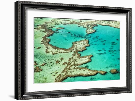 Great Barrier Reef III-Larry Malvin-Framed Photographic Print