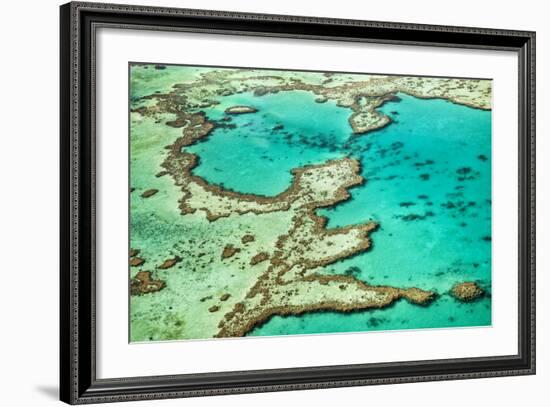 Great Barrier Reef III-Larry Malvin-Framed Photographic Print