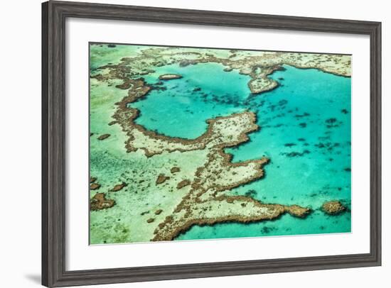 Great Barrier Reef III-Larry Malvin-Framed Photographic Print