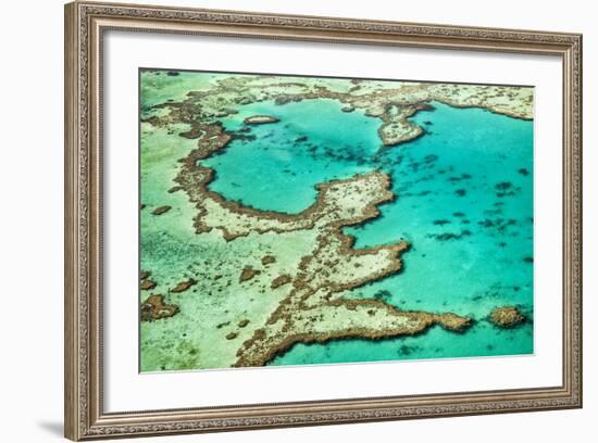 Great Barrier Reef III-Larry Malvin-Framed Photographic Print