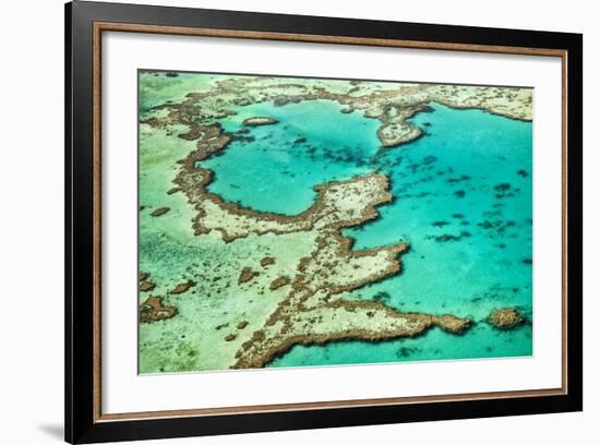 Great Barrier Reef III-Larry Malvin-Framed Photographic Print