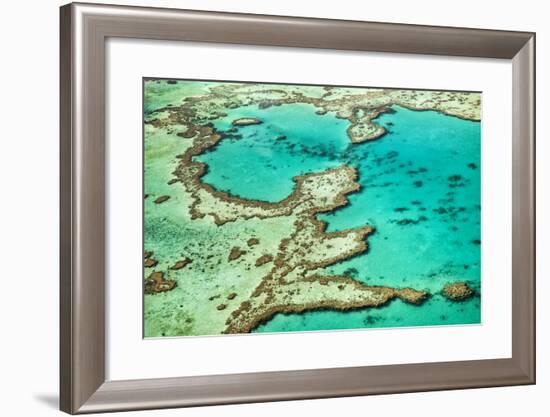 Great Barrier Reef III-Larry Malvin-Framed Photographic Print
