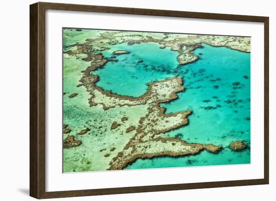 Great Barrier Reef III-Larry Malvin-Framed Photographic Print