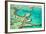 Great Barrier Reef III-Larry Malvin-Framed Photographic Print