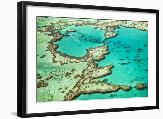 Great Barrier Reef III-Larry Malvin-Framed Photographic Print