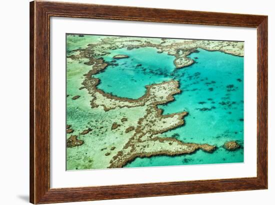 Great Barrier Reef III-Larry Malvin-Framed Photographic Print