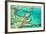 Great Barrier Reef III-Larry Malvin-Framed Photographic Print