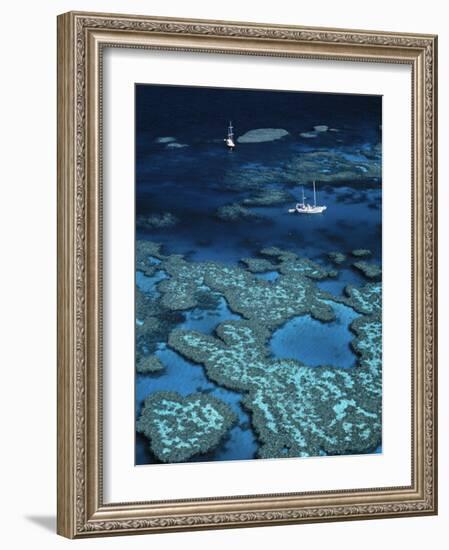 Great Barrier Reef, Queensland, Australia-Danielle Gali-Framed Photographic Print