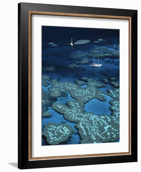 Great Barrier Reef, Queensland, Australia-Danielle Gali-Framed Photographic Print