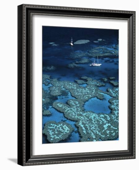 Great Barrier Reef, Queensland, Australia-Danielle Gali-Framed Photographic Print