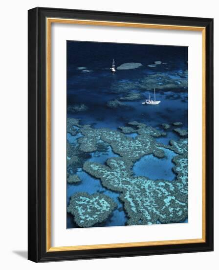 Great Barrier Reef, Queensland, Australia-Danielle Gali-Framed Photographic Print