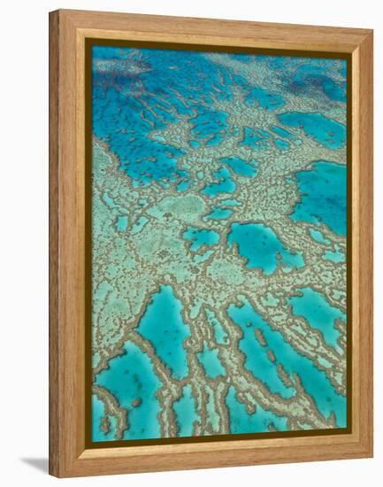 Great Barrier Reef, Queensland, Australia-Peter Adams-Framed Premier Image Canvas