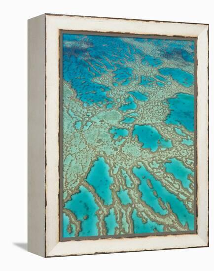 Great Barrier Reef, Queensland, Australia-Peter Adams-Framed Premier Image Canvas