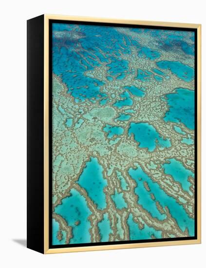 Great Barrier Reef, Queensland, Australia-Peter Adams-Framed Premier Image Canvas