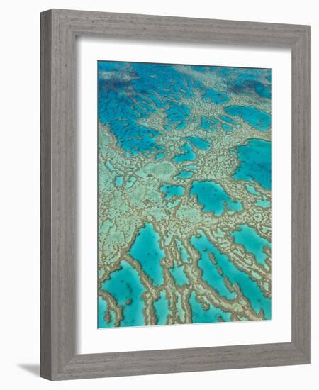 Great Barrier Reef, Queensland, Australia-Peter Adams-Framed Photographic Print