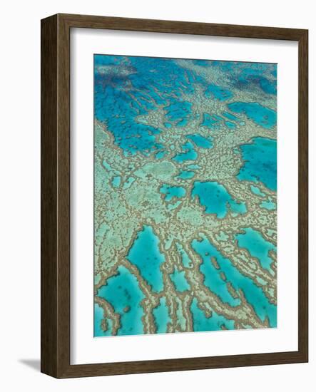 Great Barrier Reef, Queensland, Australia-Peter Adams-Framed Photographic Print