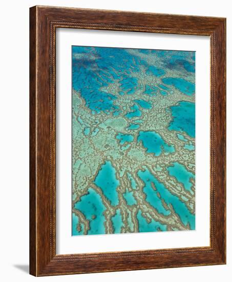 Great Barrier Reef, Queensland, Australia-Peter Adams-Framed Photographic Print