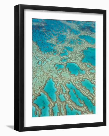 Great Barrier Reef, Queensland, Australia-Peter Adams-Framed Photographic Print