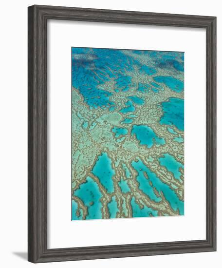 Great Barrier Reef, Queensland, Australia-Peter Adams-Framed Photographic Print