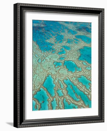 Great Barrier Reef, Queensland, Australia-Peter Adams-Framed Photographic Print