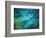 Great Barrier Reef, Queensland, Australia-Art Wolfe-Framed Photographic Print