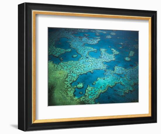 Great Barrier Reef, Queensland, Australia-Art Wolfe-Framed Photographic Print