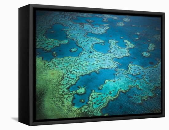 Great Barrier Reef, Queensland, Australia-Art Wolfe-Framed Premier Image Canvas