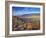 Great Basin Curvilinear Abstract-Style Petroglyphs, Bishop, California, Usa-Dennis Flaherty-Framed Photographic Print